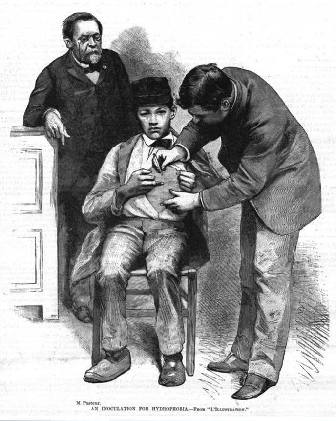 Illustration of Jean-Baptiste Jupille receiving Pasteur’s rabies treatment in 1885; Jupille was treated after Joseph Meister.