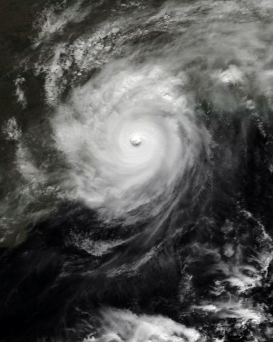A colourised Meteosat-5 image of the Odisha super cyclone on 29 October 1999.