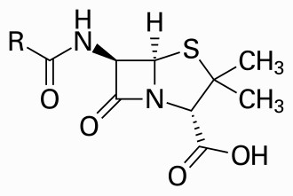 Diagram of the penicillin core structure; a modern scientific illustration.