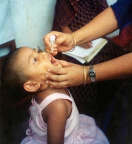 A child receiving oral polio vaccine in a later immunisation campaign, not the injected Salk vaccine of 1955.
