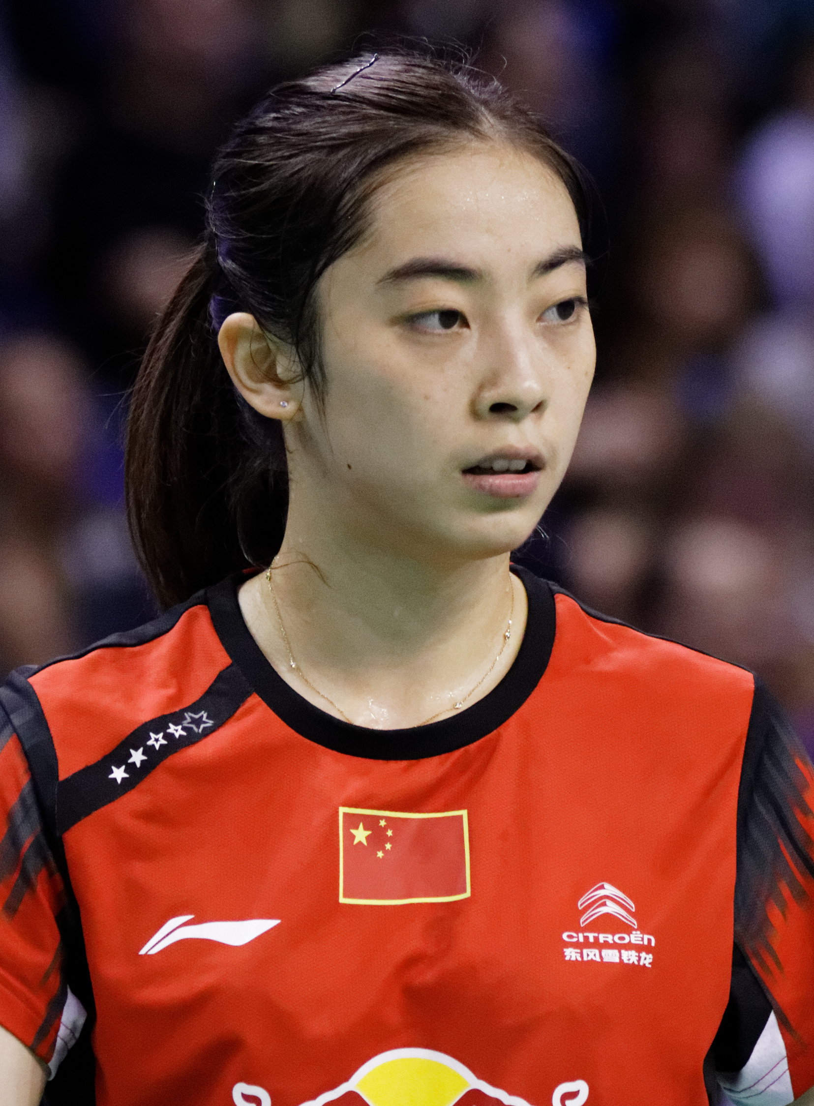 Wang Shixian